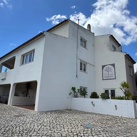 Cegonha Powered By Cegonha Resort- Private Swimming Pool & Air Con * 阿尔布费拉