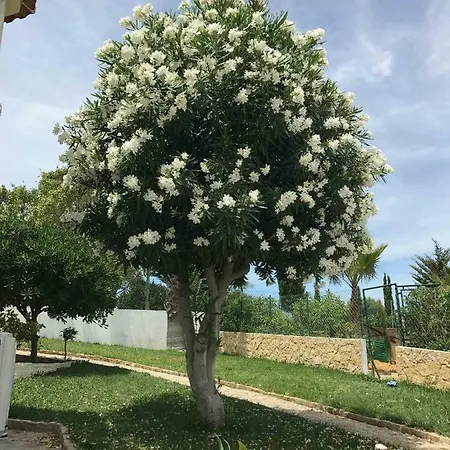 Cegonha Powered By Cegonha Resort- Private Swimming Pool & Air Con 别墅