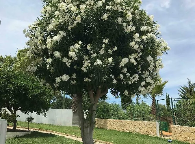 Cegonha Powered By Cegonha Resort- Private Swimming Pool & Air Con Villa